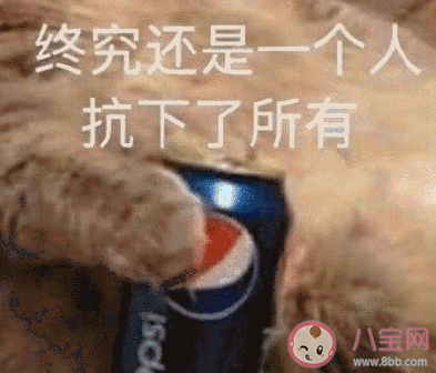 再不開學家庭關系就破裂了是什么感受 為什說再不開學家庭關系就破裂了 再不開學家庭關系就破裂了是什么感受 為什說再不開學家庭關系就破裂了