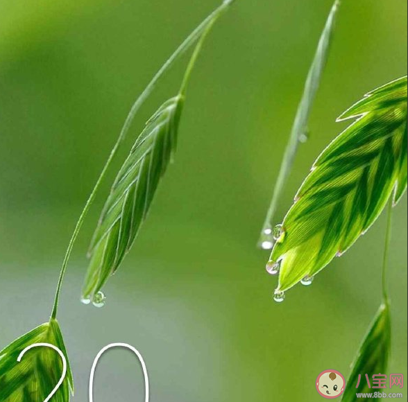 2020今日谷雨高清圖片說說 谷雨節(jié)氣創(chuàng)意個(gè)性句子 2020今日谷雨高清圖片說說 谷雨節(jié)氣創(chuàng)意個(gè)性句子