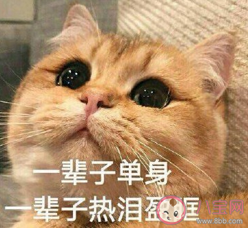 是什么讓你選擇寧愿單身 你選擇單身的原因是什么