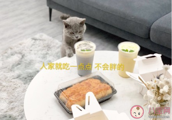 當(dāng)代年輕人生活的儀式感有哪些 生活中需要哪些儀式感