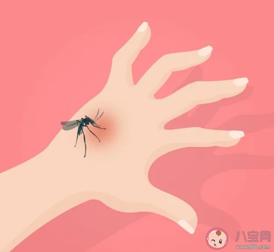 春夏如何有效驅蚊 有什么有效的驅蚊方法 春夏如何有效驅蚊 有什么有效的驅蚊方法
