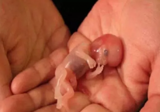 打過胎的女孩能看出來嗎  打胎和沒打胎的女孩有什么區別