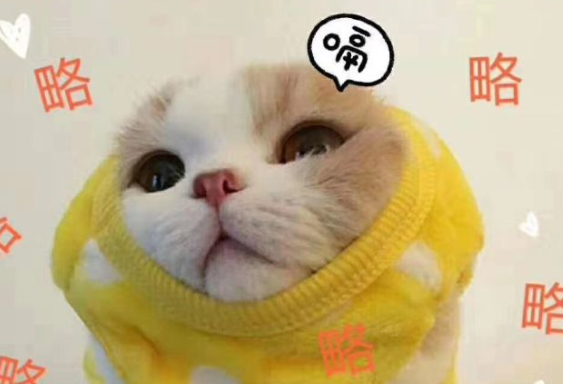 有哪些給女孩子在談戀愛中的忠告 2020女孩子的戀愛忠告