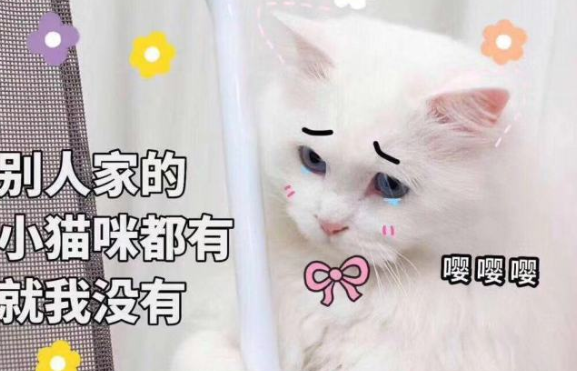 有哪些給女孩子在談戀愛中的忠告 2020女孩子的戀愛忠告