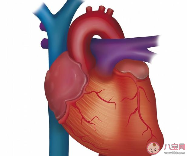 冠心病患者可以喝葡萄酒嗎 冠心病喝葡萄酒有什么好處 冠心病患者可以喝葡萄酒嗎 冠心病喝葡萄酒有什么好處