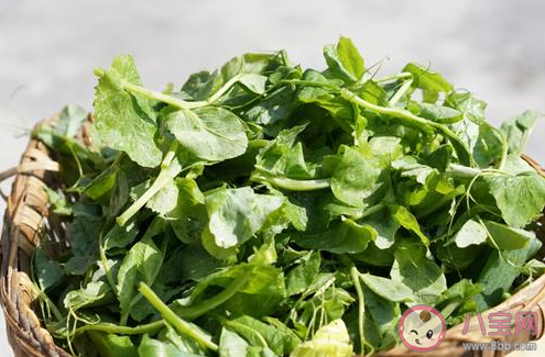 立夏節氣吃什么菜養生 立夏節氣時令菜有哪些 立夏節氣吃什么菜養生 立夏節氣時令菜有哪些