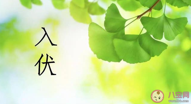 2020三伏天什么時候開始 三伏天如何養(yǎng)生調(diào)理 2020三伏天什么時候開始 三伏天如何養(yǎng)生調(diào)理