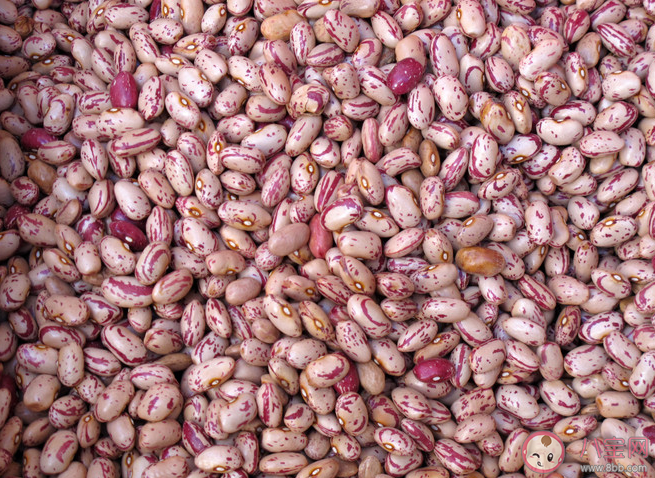 ?體內濕氣重吃什么食物祛濕氣 什么食物祛濕氣效果好