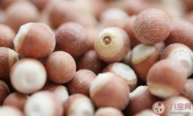 ?體內濕氣重吃什么食物祛濕氣 什么食物祛濕氣效果好