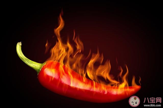 醫生常說的發物是什么 發物有哪些食物