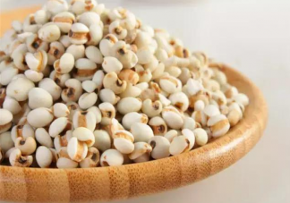 ?體內濕氣重吃什么食物祛濕氣 什么食物祛濕氣效果好