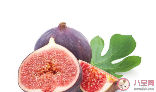 準(zhǔn)媽媽一天吃幾個(gè)無(wú)花果好 準(zhǔn)媽媽吃無(wú)花果有什么好處 準(zhǔn)媽媽一天吃幾個(gè)無(wú)花果好 準(zhǔn)媽媽吃無(wú)花果有什么好處