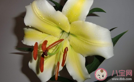 母親節(jié)給媽媽祝福的話語(yǔ)大全 母親節(jié)送媽媽祝福句子