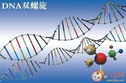 高齡孕婦不想做羊穿怎么辦  哪些人不適合羊水穿刺