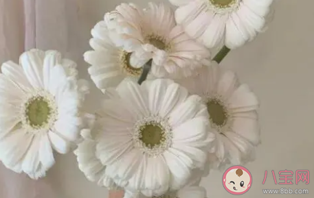 520領(lǐng)證官宣的心情句子 適合520領(lǐng)證的心情感慨 520領(lǐng)證官宣的心情句子 適合520領(lǐng)證的心情感慨