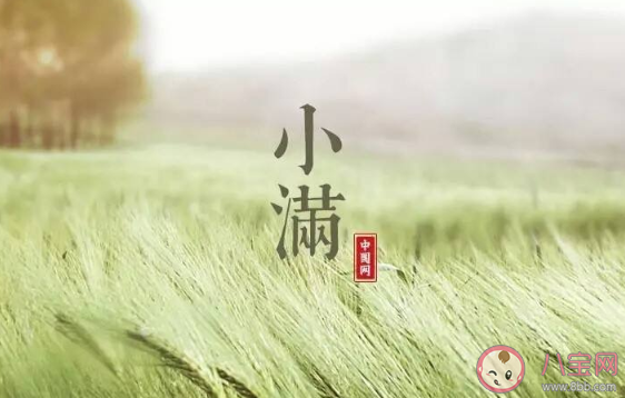 2020小滿節(jié)氣適合吃什么菜 小滿之后飲食上要注意些什么