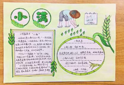 小滿節氣手抄報圖片大全 小滿手抄報最漂亮模板