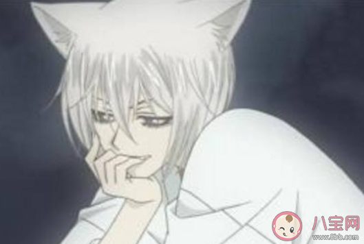 nanami是什么意思抖音 nanami表示什么含義