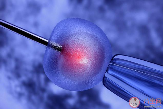 開放單身女性凍卵會面臨哪些問題挑戰 單身女性凍卵該自由嗎