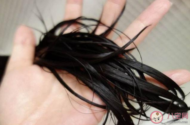 小蘇打洗頭靠譜嗎 小蘇打洗頭有什么危害 小蘇打洗頭靠譜嗎 小蘇打洗頭有什么危害