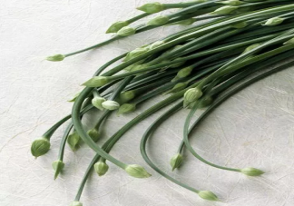 吃韭菜可以壯陽是真的嗎 吃韭菜有什么好處