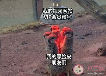 大學生有哪些神奇消費觀 大學生的神奇消費觀盤點