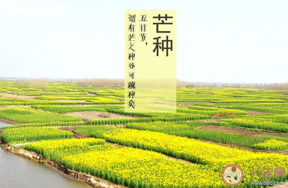 2020芒種節氣一句話問候語文案說說 2020芒種節氣朋友圈祝福語文案大全