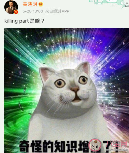 killing part是什么意思 killing part一詞出自哪里 killing part是什么意思 killing part一詞出自哪里