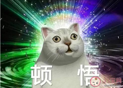 killing part是什么意思 killing part一詞出自哪里 killing part是什么意思 killing part一詞出自哪里