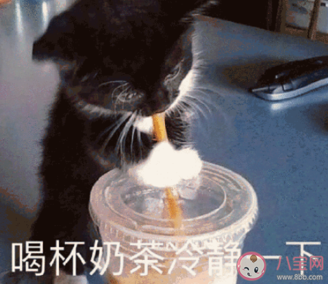 見過最奇葩的面試經歷是什么 遇到過的奇葩面試有哪些