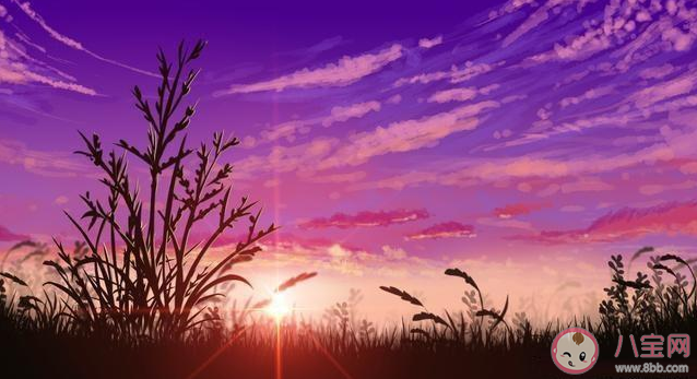 生活中令你深感無力的瞬間是什么時候 對現實生活很無力該如何改變