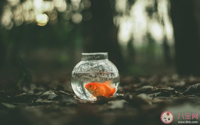 現(xiàn)實(shí)生活很殘酷的心情語(yǔ)錄 現(xiàn)實(shí)生活很殘酷的心情說說大全