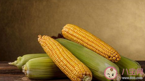 玉米熱量高為什么還減肥  晚上吃一根玉米會胖嗎
