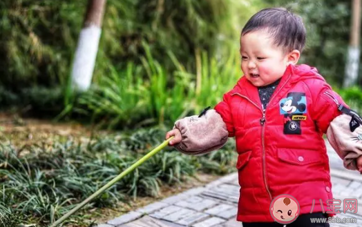 鼠年寶寶起名哪個字好聽  鼠年寶寶有寓意的名字大全