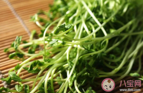 2020芒種節氣吃什么養生好 芒種節氣養生注意事項大全