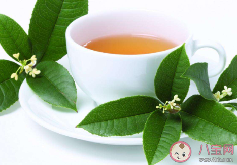 2020芒種節氣吃什么養生好 芒種節氣養生注意事項大全