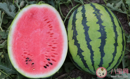 適合孩子夏季吃的金牌水果 夏天吃什么水果好