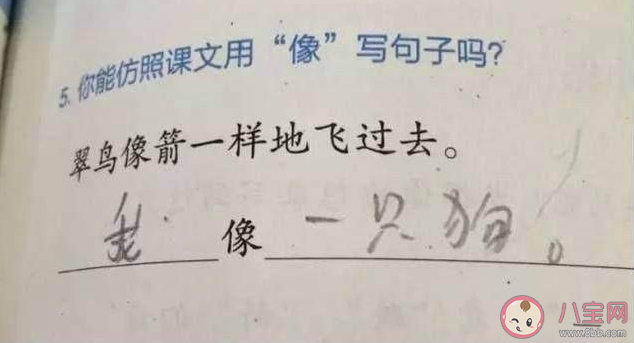 做過哪些奇奇怪怪的作業 奇奇怪怪的作業盤點 做過哪些奇奇怪怪的作業 奇奇怪怪的作業盤點