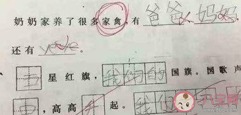 做過哪些奇奇怪怪的作業 奇奇怪怪的作業盤點 做過哪些奇奇怪怪的作業 奇奇怪怪的作業盤點