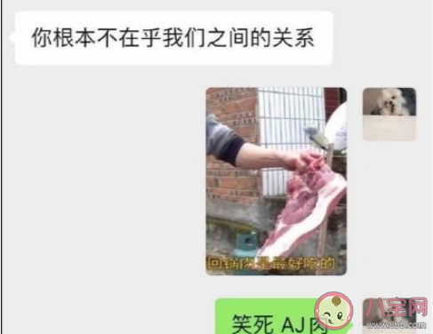 笑死企鵝肉什么梗 笑死企鵝肉為什么火了 笑死企鵝肉什么梗 笑死企鵝肉為什么火了