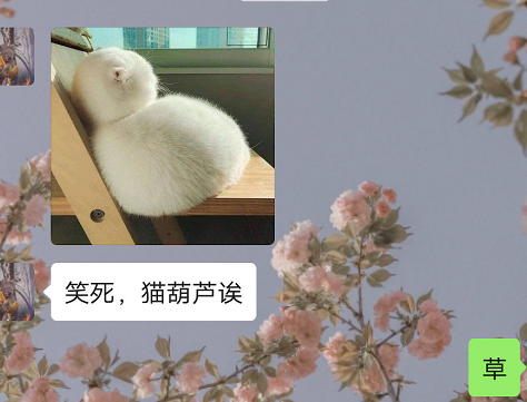 快速把人氣到的新方法 聊天中的氣人對話圖