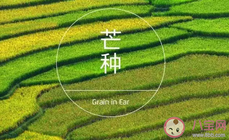 2020芒種創(chuàng)意海報文案合集 各品牌芒種文案大全