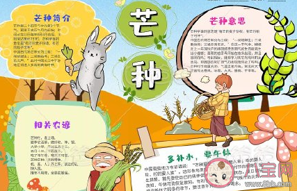 二十四節氣芒種手抄報圖片模板 簡單漂亮的芒種手抄報