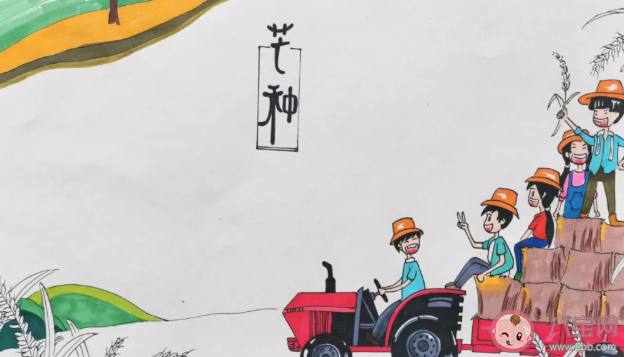 二十四節氣芒種手抄報圖片模板 簡單漂亮的芒種手抄報