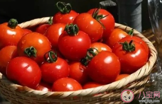 芒種之后吃什么蔬菜養生 芒種后養生蔬菜推薦