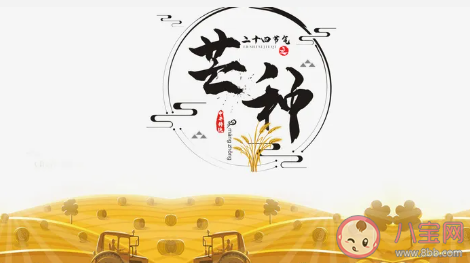 芒種養生怎么做最有效 芒種養生飲食注意事項