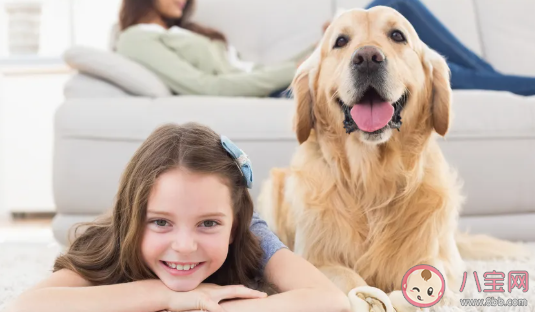 寶寶夏季過敏的常見癥狀 夏季的過敏原有哪些