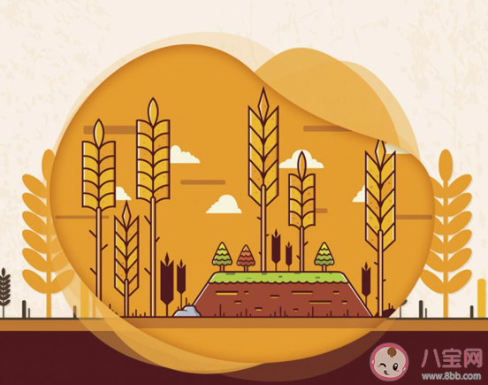 2020芒種節氣文案配圖 2020芒種節氣很火的朋友圈文案