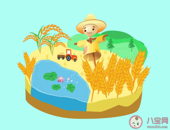 2020芒種節氣文案配圖 2020芒種節氣很火的朋友圈文案