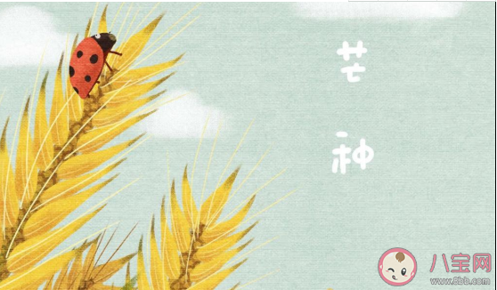 2020芒種節氣文案配圖 2020芒種節氣很火的朋友圈文案